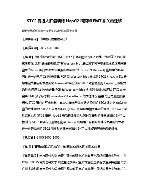 STC2促进人肝癌细胞HepG2增殖和EMT相关的迁移