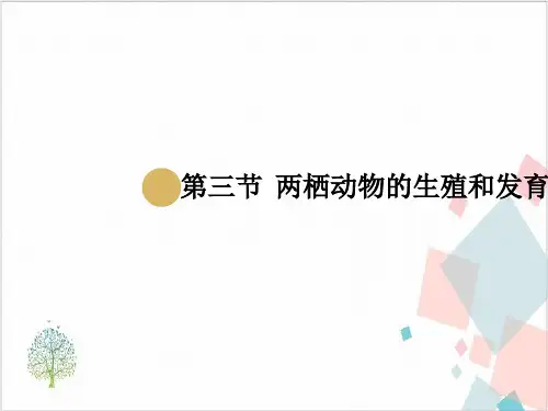 《两栖动物的生殖和发育》_课件-完美版