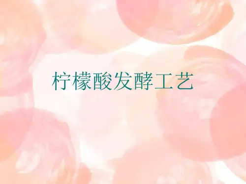 柠檬酸发酵工艺