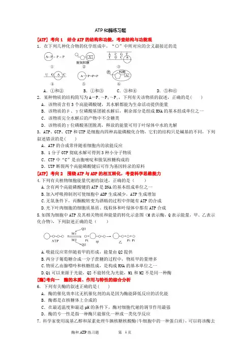 酶和ATP典型例题(练习题 后面答案)