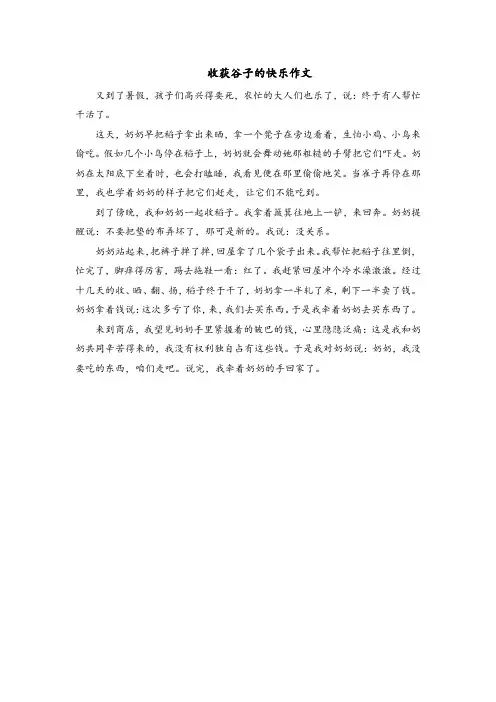 收获谷子的快乐作文