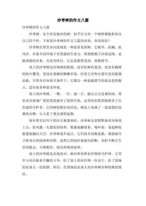 沙枣树的作文八篇