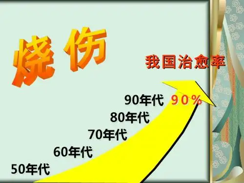 大面积烧伤的护理业务查房ppt课件