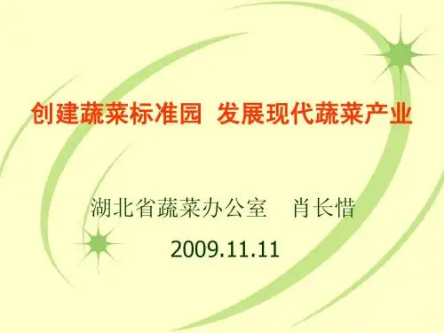创建蔬菜标准园 发展现代蔬菜产业