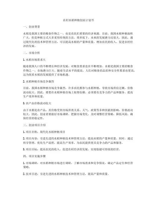 农村水稻种植创业计划书