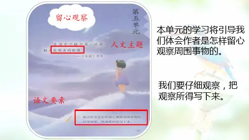 16.《金色的草地》 课件(共24张PPT)