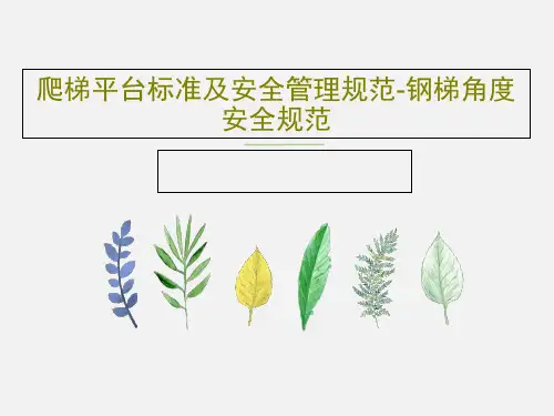 爬梯平台标准及安全管理规范-钢梯角度 安全规范共71页