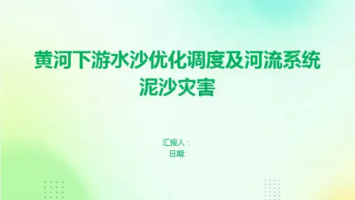 黄河下游水沙优化调度及河流系统泥沙灾害