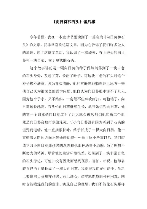 《向日葵和石头》读后感