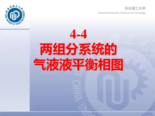 物理化学教学课件：第四章4-2
