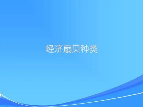 扇贝的养殖技术