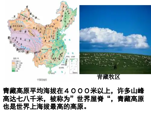 海拔最高的牧区青藏牧区课件