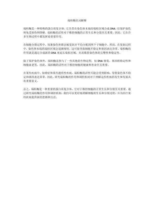 端粒酶 名词解释