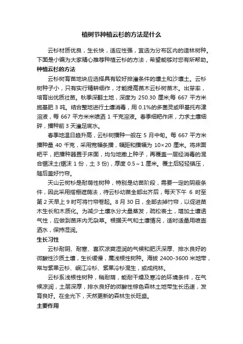 植树节种植云杉的方法是什么