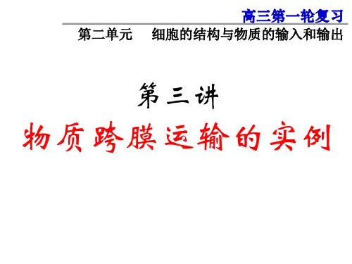 2019秋高三一轮复习生物课件：2.3物质跨膜运输的实例(共33张PPT)