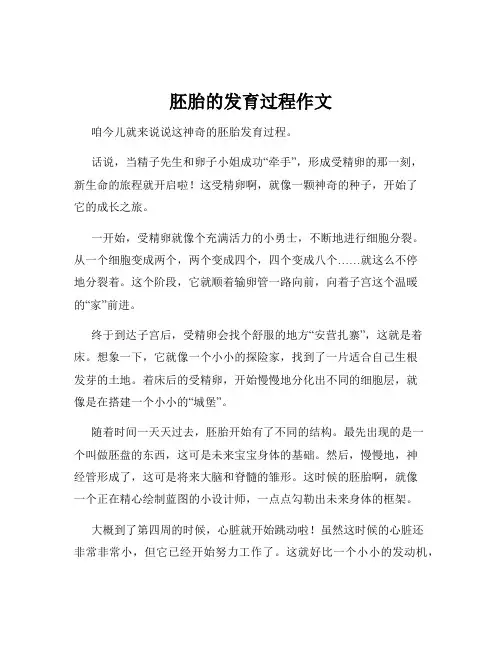 胚胎的发育过程作文