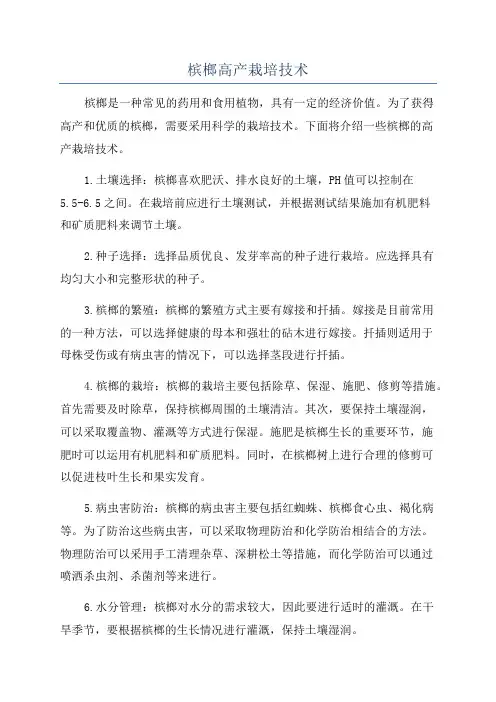槟榔高产栽培技术