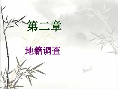 地籍调查 PPT课件