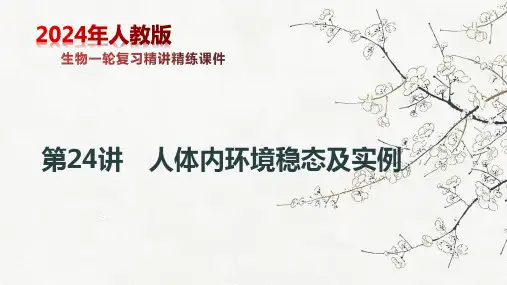 第24讲 人体内环境稳态及实例(课件)2024年高考生物一轮复习