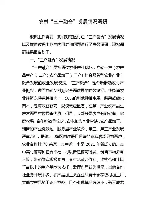 关于农村“三产融合”发展情况的调研报告
