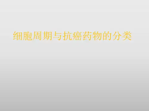 细胞周期与抗癌药物作用机制PPT课件