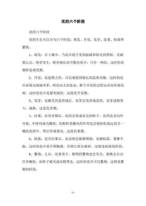 花的六个阶段