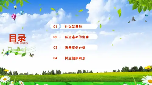 简约珍爱生命远离毒品教育内容PPT演示
