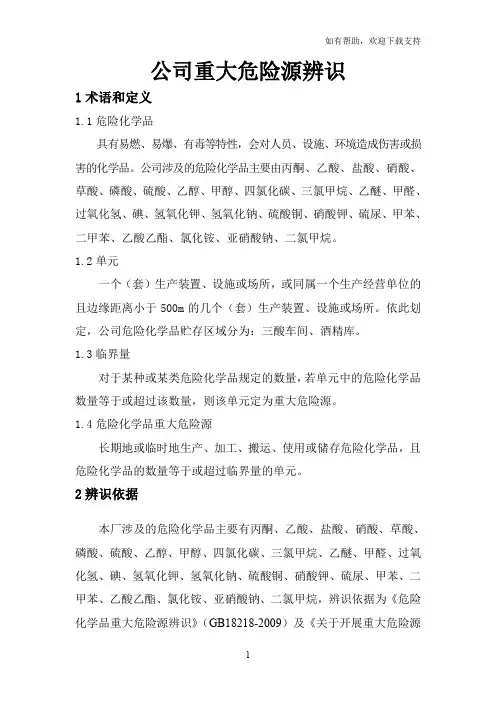 重大危险源辨识记录(I)