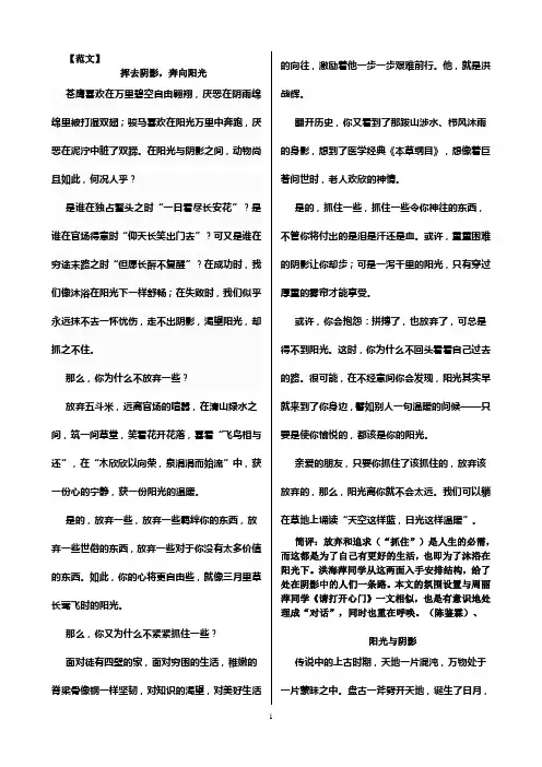 高考优秀作文：光明与阴影