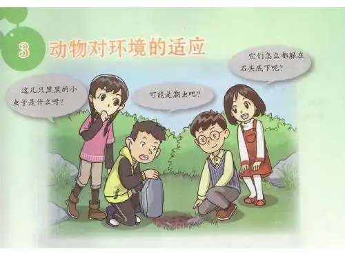 粤教科技版 六年级 下册 3  《动物环境的适应》