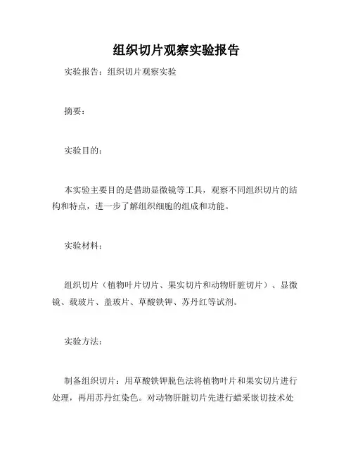 组织切片观察实验报告
