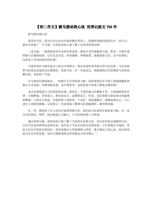 【初二作文】骏马拨动我心弦 优秀记叙文700字