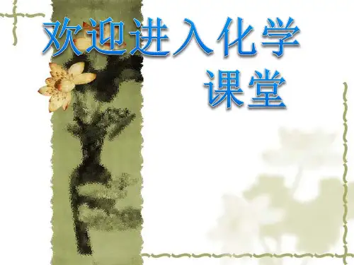 《二氧化硅、硅与信息材料》课件十(18张PPT)