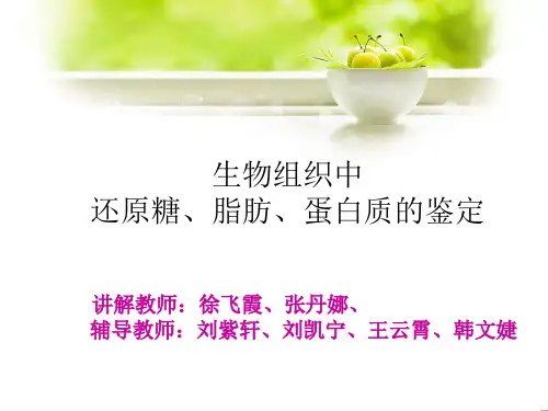 生物组织中还原糖、脂肪、蛋白质的鉴定