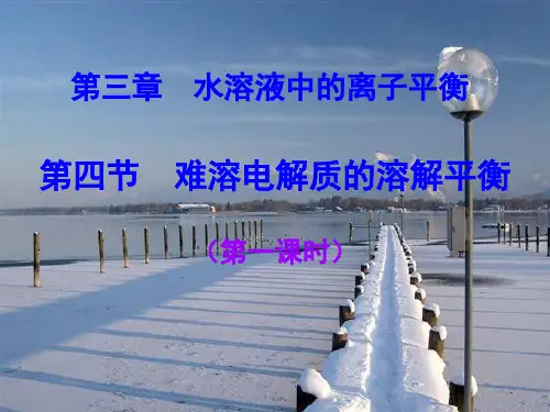 【鲁科版】电解质PPT精美课件1