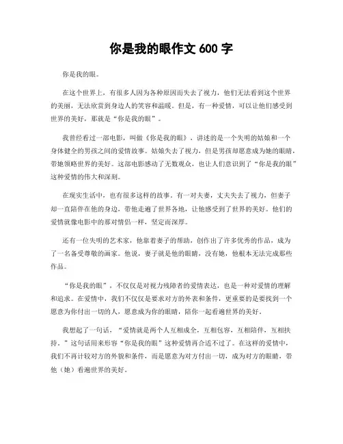 你是我的眼作文600字