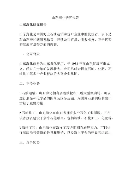 山东海化研究报告