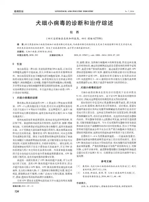 犬细小病毒的诊断和治疗综述