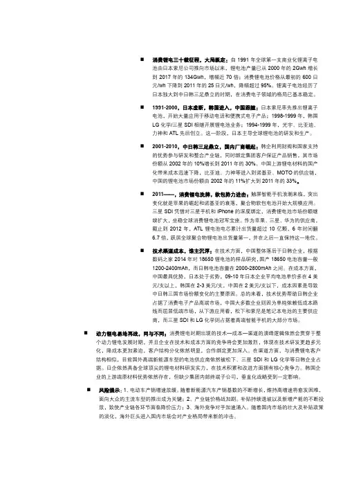 2018年消费锂电行业专题分析报告