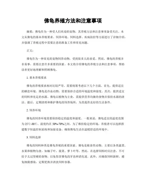 佛龟养殖方法和注意事项