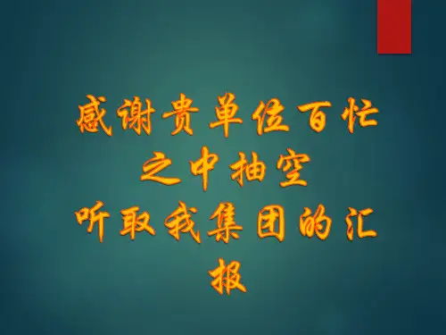 智慧综合地下管线ppt(精华)