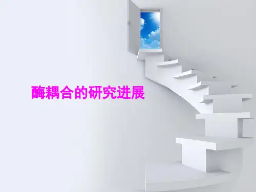 酶耦合的研究进展