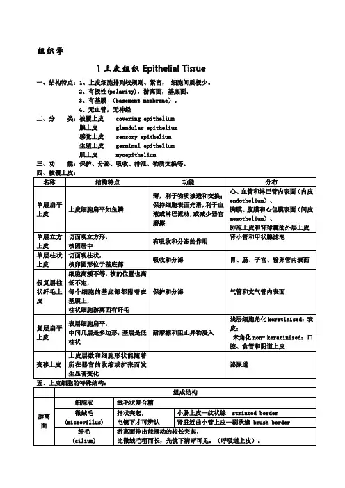 组织学与胚胎学重点