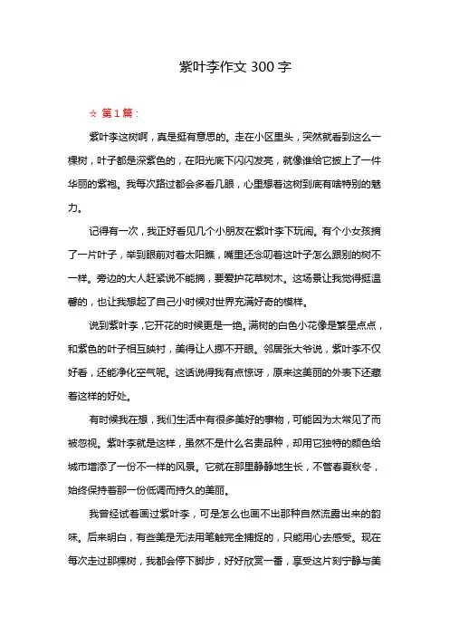 紫叶李作文300字