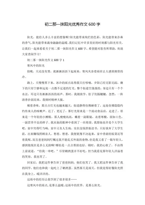 初二那一抹阳光优秀作文600字