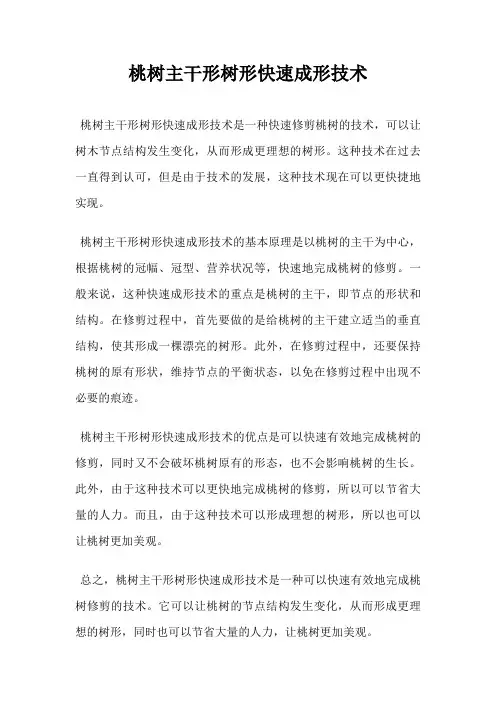 桃树主干形树形快速成形技术