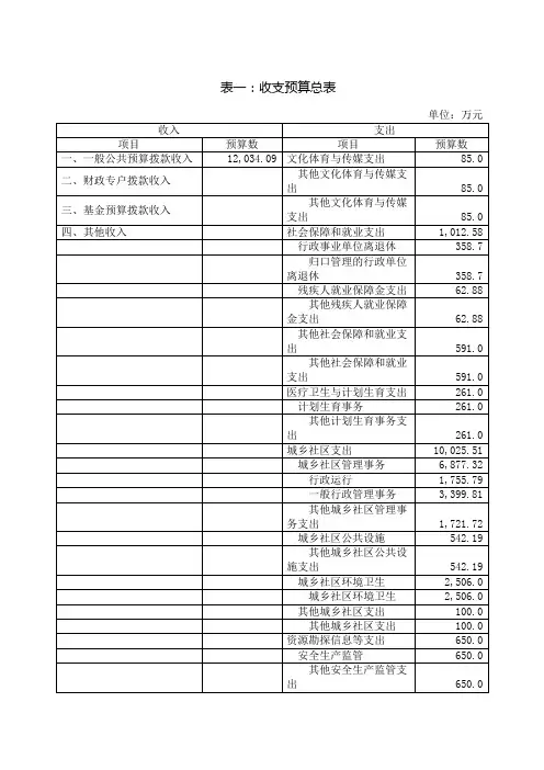 表一收支预算总表
