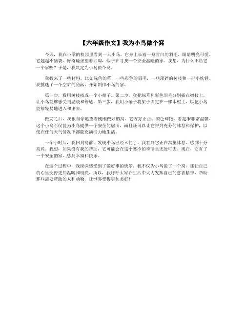 【六年级作文】我为小鸟做个窝