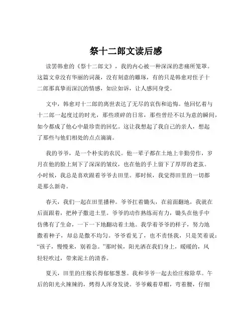 祭十二郎文读后感