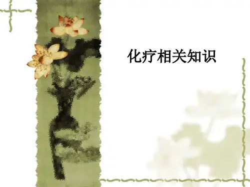 化疗相关知识ppt课件